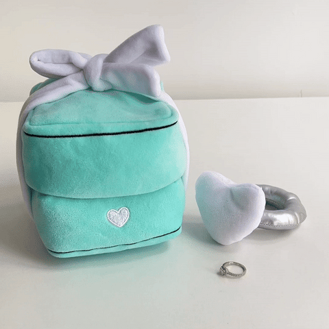 LoveTique™ Scatola Anello Peluche